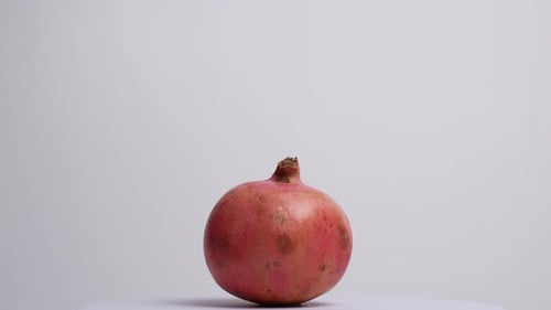 Granatapfel 07