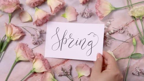 Hand puts SPRING card on a marble table near pink flowers close up
