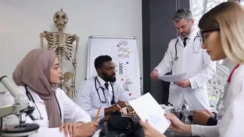 Doctors Working with Work Papers at Meeting while Discussing Something at Medical Office
