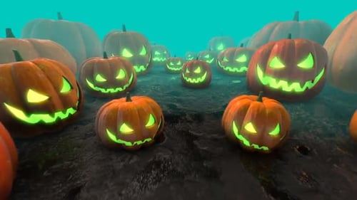Halloween Kürbisse 03