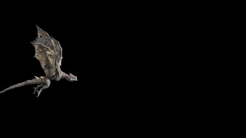 Flying Dragon Skeleton with Alpha Channel Animation