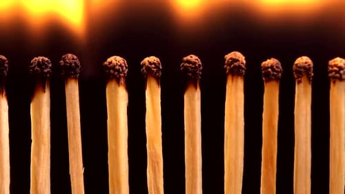 Wooden Matches Igniting and Burning in a Row