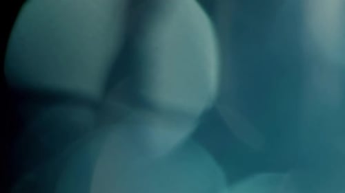 Light Leaks Organic Lens Defocused Blurred Effect Background Animation Footage Overlays Transitions