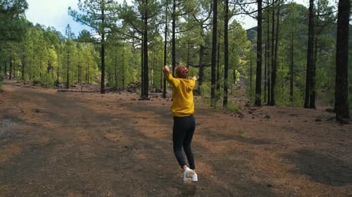Woman Traveler Walks Around a Pine Forest on Top of the Chinyero Volcano in the National Park of the