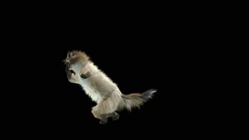 Katze HD