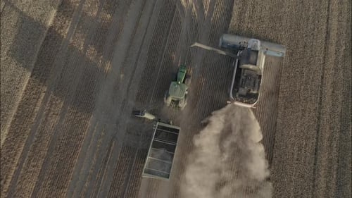 Combine Harvesting Wheat
