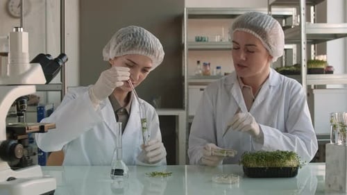 Women Work With Plants in a Science Lab
