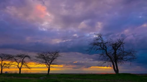 Dramatic Sunset Sky over Field with Bare Trees