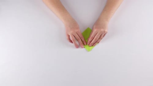 Sapo de papel. Origami. ¿Blanco? Time Lapse
