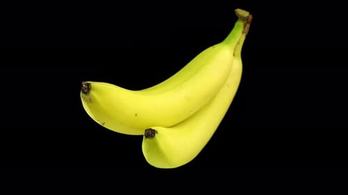 Zwei gelbe Bananen rotieren auf schwarzem Hintergrund