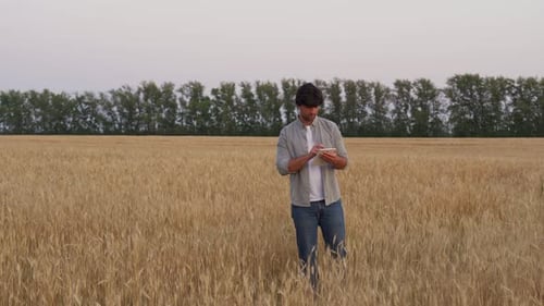 Farmer Walks Across the Wheat Field Using Modern Technologies in Agriculture