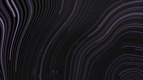 Line Purple02