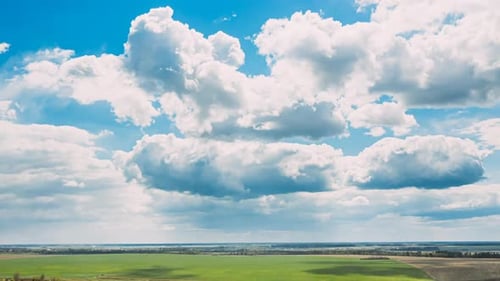 Countryside Rural Field Landscape With Young Wheat Sprouts In Spring Summer Cloudy Day