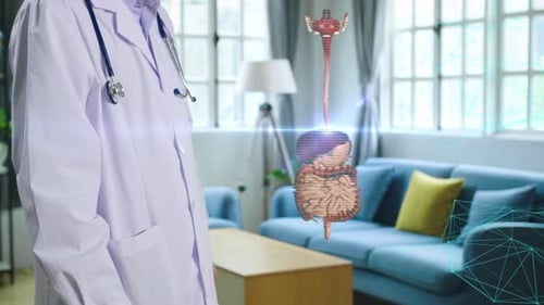 Doctor Using Technology to Activate Digestive System Diagram