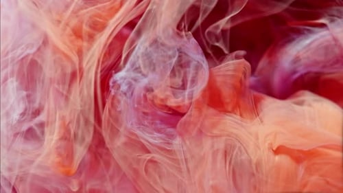 Abstract Ink Colours Flowing in Water. Red and Blue Ink Colours