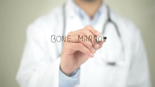 Bone Marrow, Doctor Writing on Transparent Screen