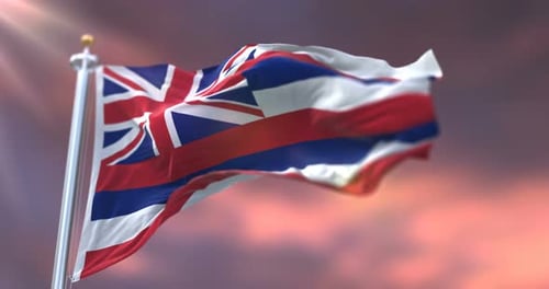 Realistic Waving Hawaii Flag Seamless Loop Animation