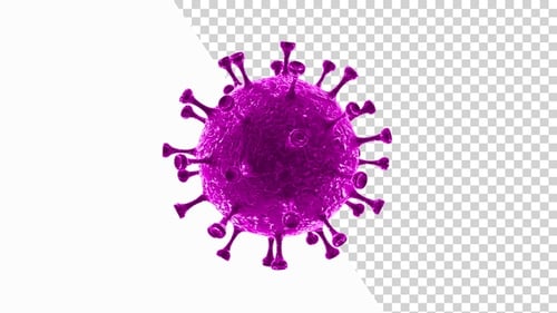 3D Purple Virus Cell Rotating Loop Animation