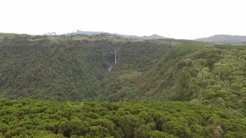 Aerial view of forests and a waterfall