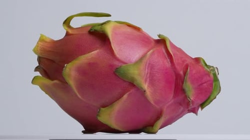 Dragonfruit 22