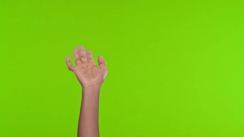 Woman's Hand Gesturing on Chroma Key Green Screen