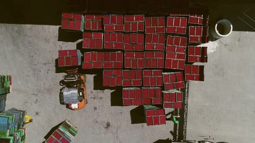 Transporte de fruta en carretillas elevadoras. Vista aérea.