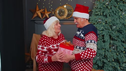 Loving Senior Couple Exchanging Christmas Gift at Home