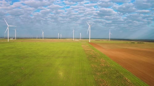Wind Turbines Among Green Fields
