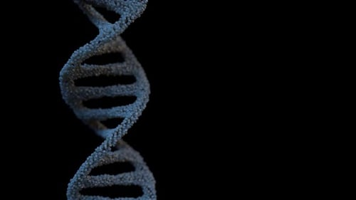 Abstract DNA Helix Dissolution with Particle Effect