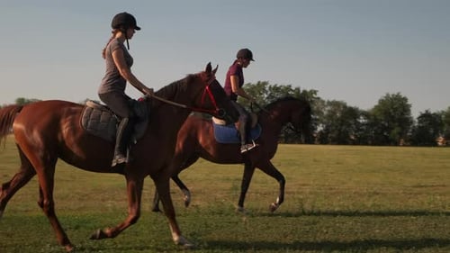 Women Riding Horses in a Rural Grassy Field