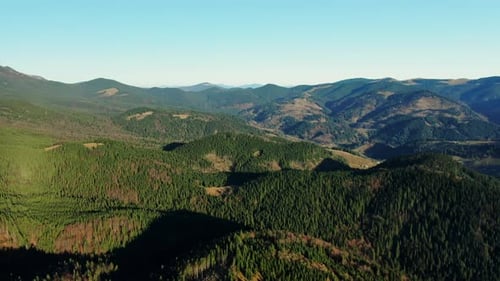 Lush Forested Mountains Aerial View