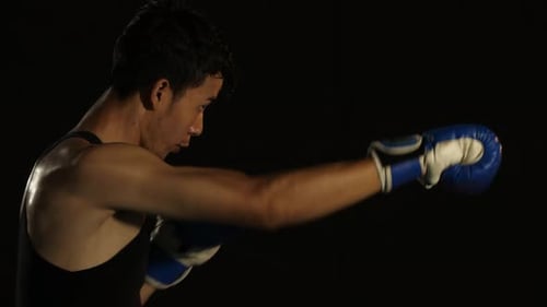 Focused Young Adult Boxer Training With Punches