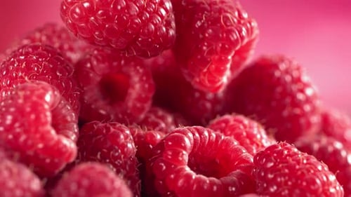 Close-up of Fresh Raspberries Falling on a Pink Background