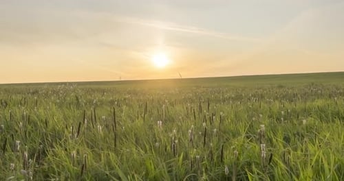 Hill Meadow Timelapse at the Summer or Autumn Time. Wild Endless Nature and Rural Field. Sun Rays