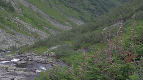 Rock Stream in Forest Valley. Mountain River