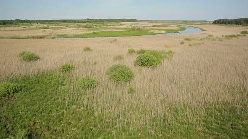 Aerial View of Bog Lands Near the River Valley