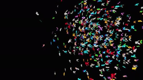 Colorful Butterflies Swirl and Fly Transition Effect
