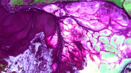 Abstract Paint Color Texture