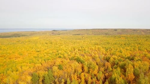 Natur im Herbst
