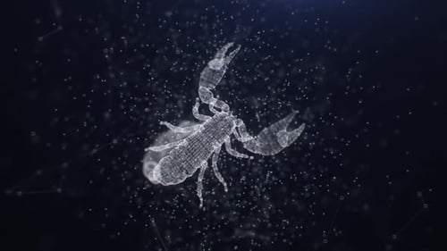 Plexus Skorpion