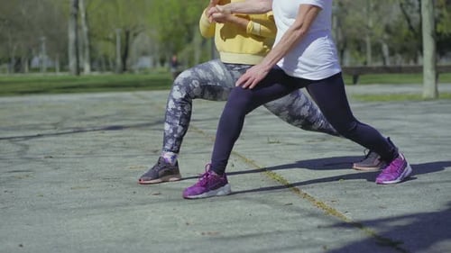 Women Exercising and Stretching in the Park