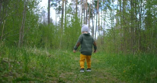 A 2-Year-old Caucasian Boy Walks in Slow Motion Along Forest Paths in a Pine Forest