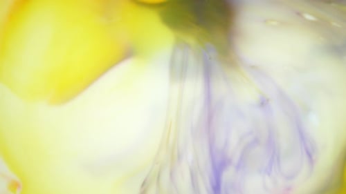 Ink in Water. Yellow and Violet Ink Reacting in Water Creating Abstract Background.