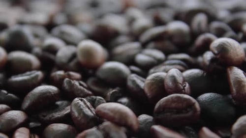Coffee Beans