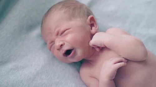 Newborn Baby Lying Down in Close Up