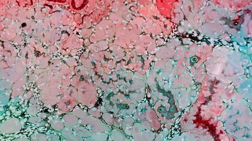 Abstract Macro Pattern of Interacting Liquids