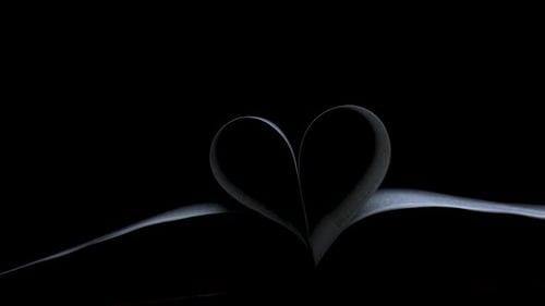 A Beam of Light Slowly Glides Into the Dark Studio and Illuminates an Open Book the Pages