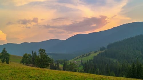 The Mountain Forest on Background of Sunset