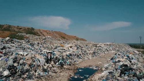 Aerial View of City Garbage Dump Gulls Feeding on Food Waste Fly Over It