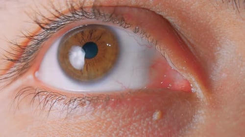 Macro Detail of a Human Eye